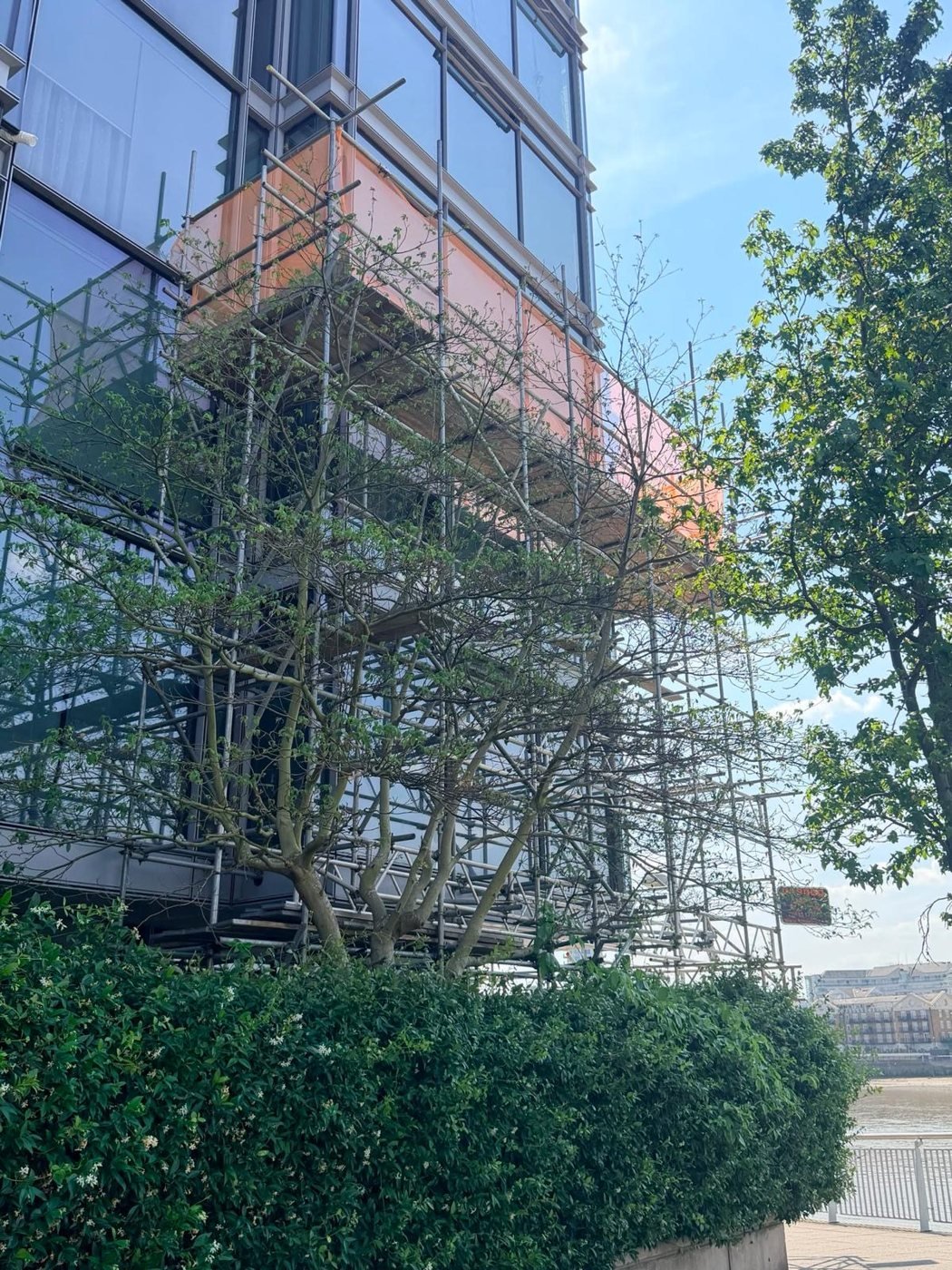 Scaffolding: glass-fronted building - corner view